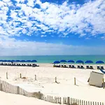 Pelican Walk 405